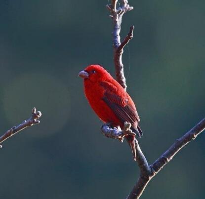 26句很走心的鸡汤语录，越读越有道理！