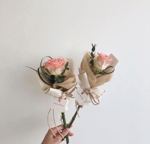 二月最经典的一句话，第一句就令人惊艳！