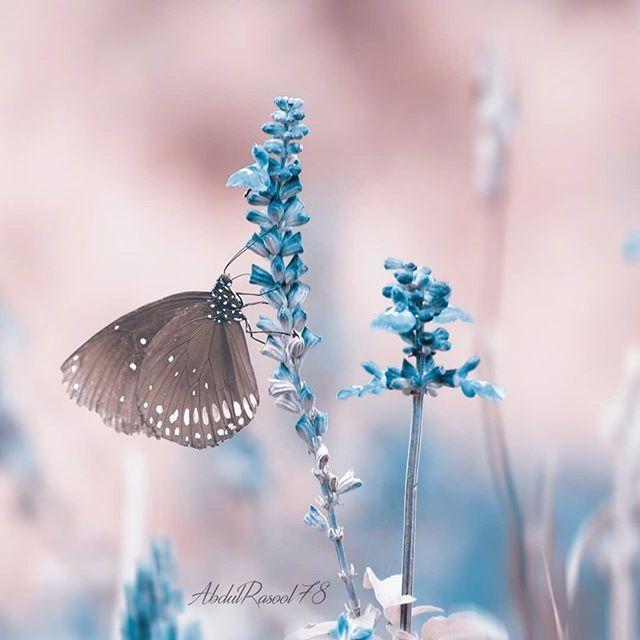 二月干净有气质的早安心语，发朋友圈太合适了！