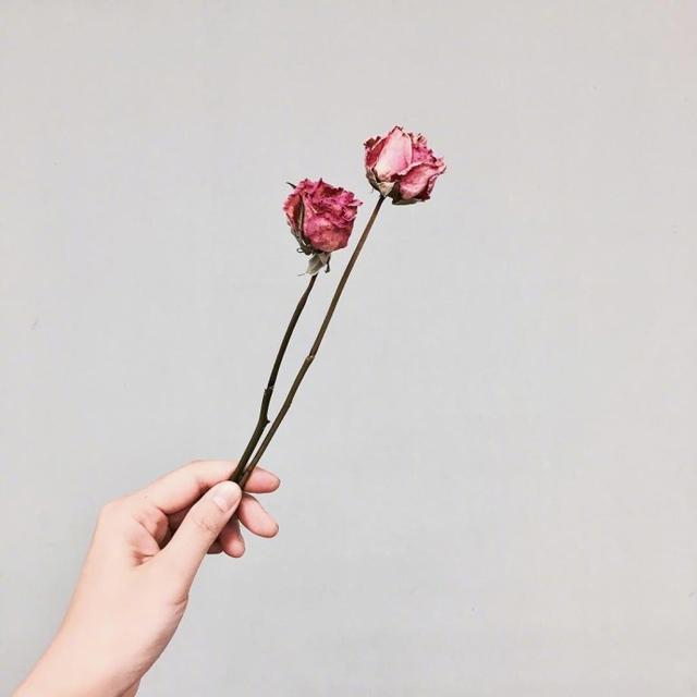 2021网红最爱的一句话，经典入心，百看不厌！