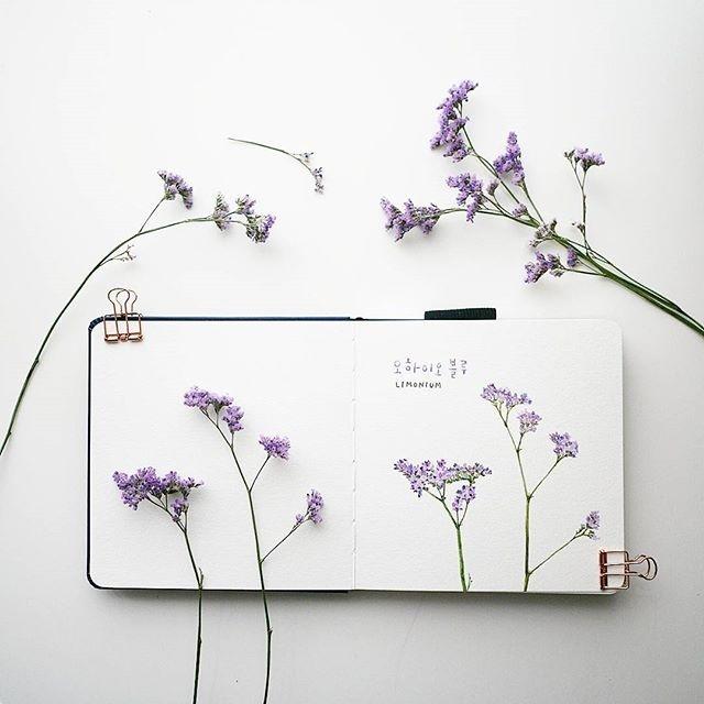 有深度有品位的唯美说说，挑句自己喜欢的！