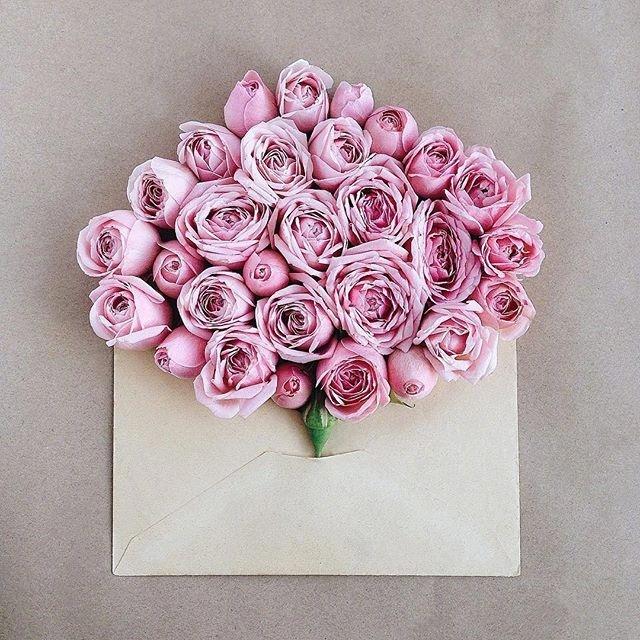 日常发朋友圈的文案，气质优雅，沁人心脾！