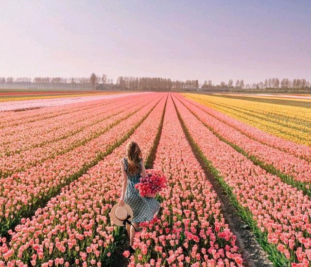 最舒服的心情文案，精致简洁，人见人爱！