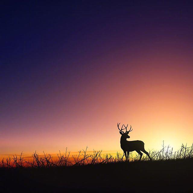 精美有品位的早安说说，看完心情舒畅！