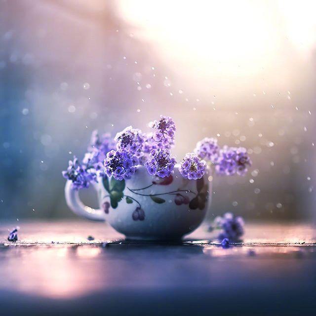 朋友圈很精湛的晚安心语，简短走心，人见人爱！