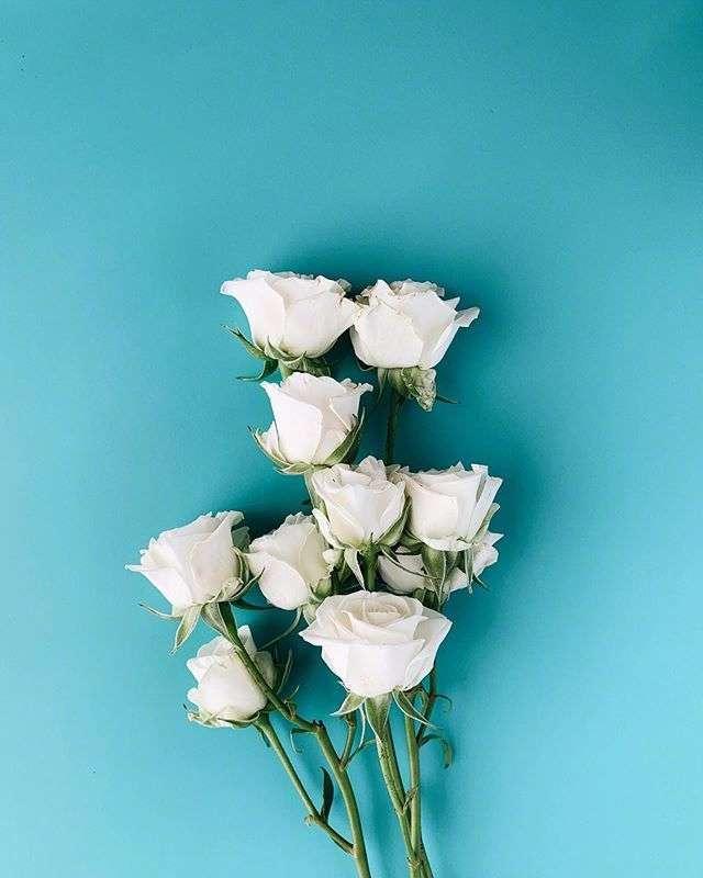 2021启迪人心的哲理说说，经典至极，引人共鸣！