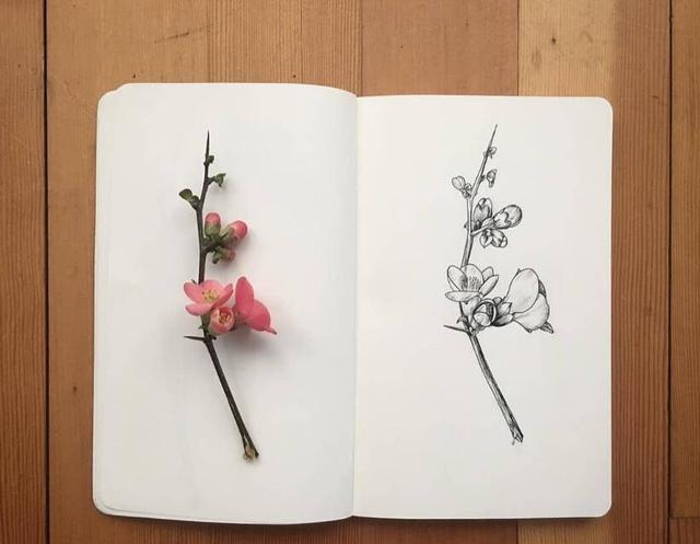 红尘感慨金玉良言，句句箴言，值得收藏一生！