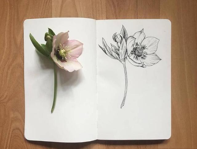 红尘感慨金玉良言，句句箴言，值得收藏一生！