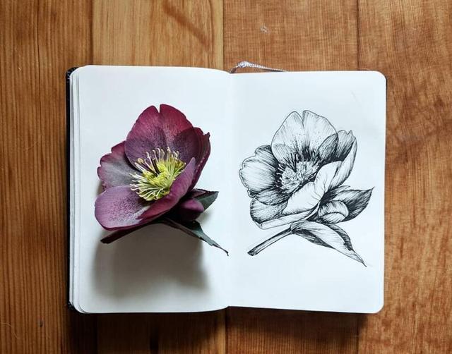 红尘感慨金玉良言，句句箴言，值得收藏一生！