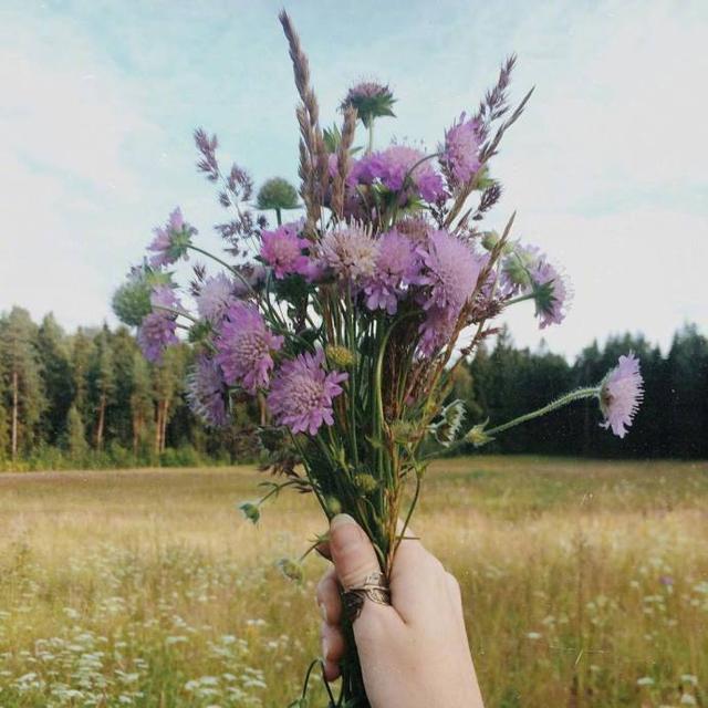 早安心语优美的语句图片，精致美好，温暖人心！