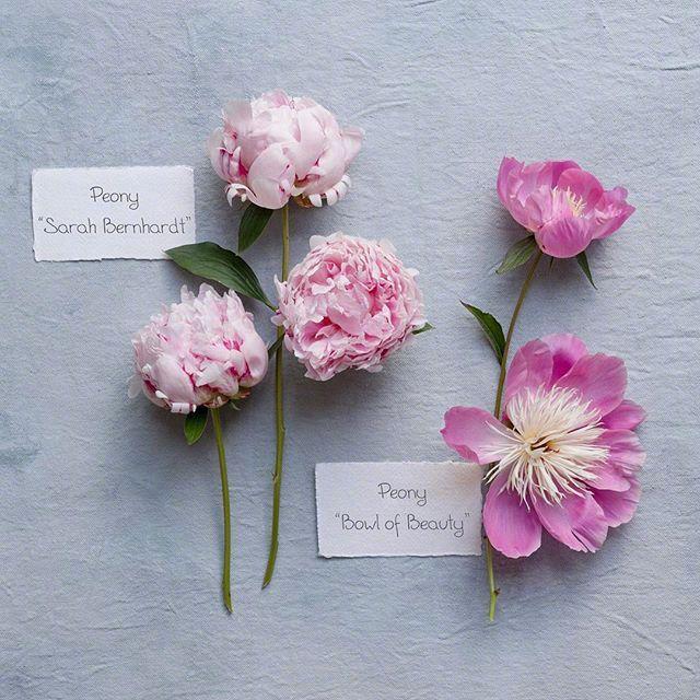 朋友圈非常经典的心灵鸡汤，简洁明了，深得人心！