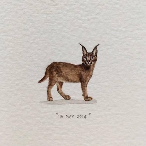 朋友圈最现实的话，道理深刻，刻骨铭心！