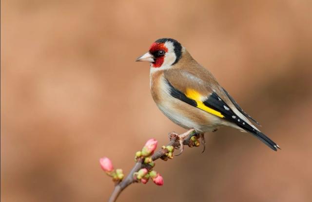 朋友圈引人深思的一段话，蕴含哲理，受用一生！