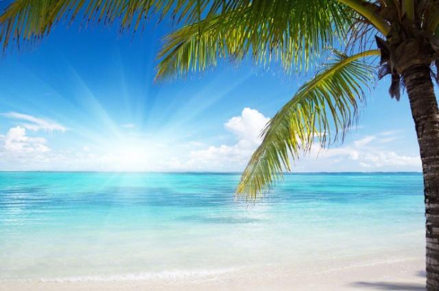 2021年朋友圈最火的早安心语，气质满分，令人倾心！