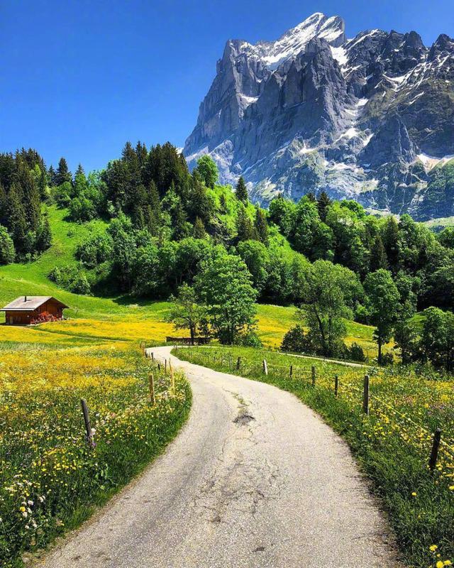 简短有品位的心灵鸡汤，蕴含哲理，受用一生！