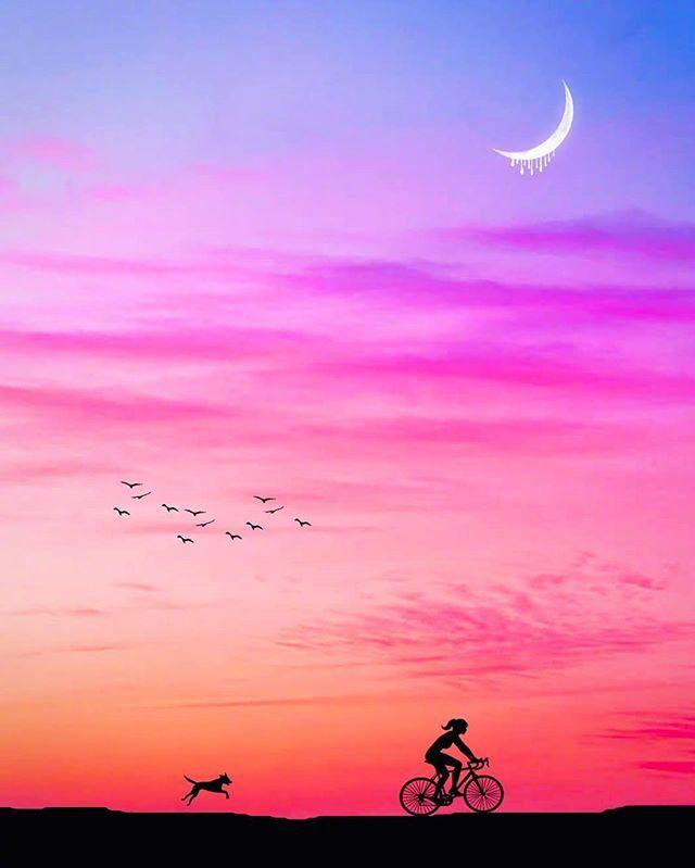 网上超级棒的人生感悟，句句经典，发人深省！