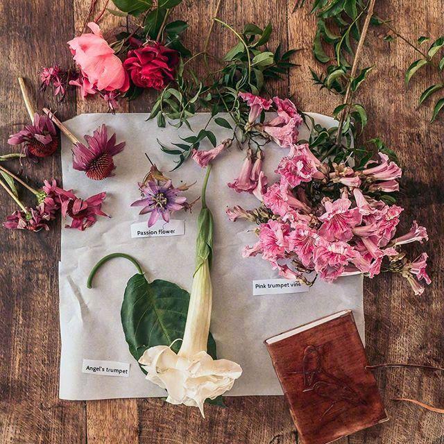 冬至走心祝福语，句句暖心，发朋友圈棒极了！