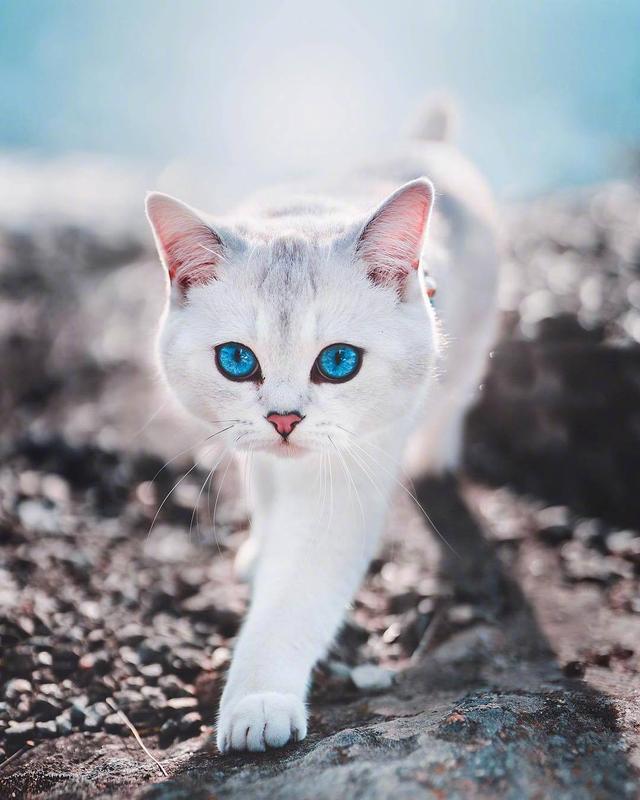 有深度有品位的人生语录，句句经典，发人深省！