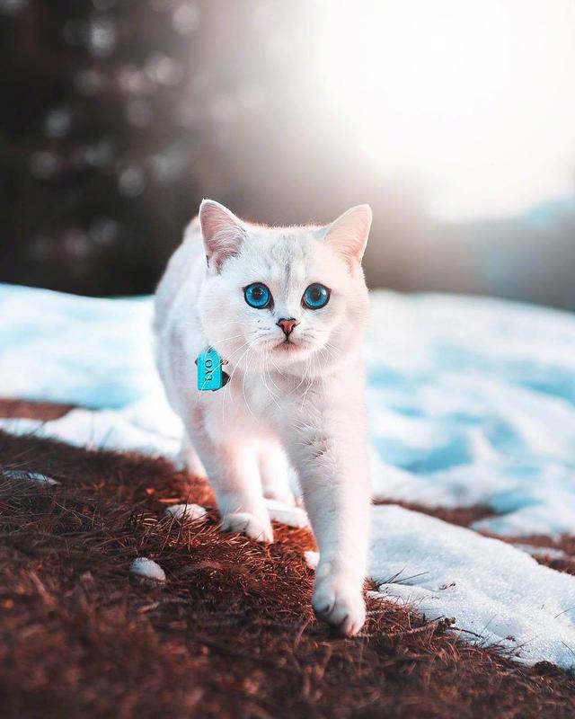 有深度有品位的人生语录，句句经典，发人深省！