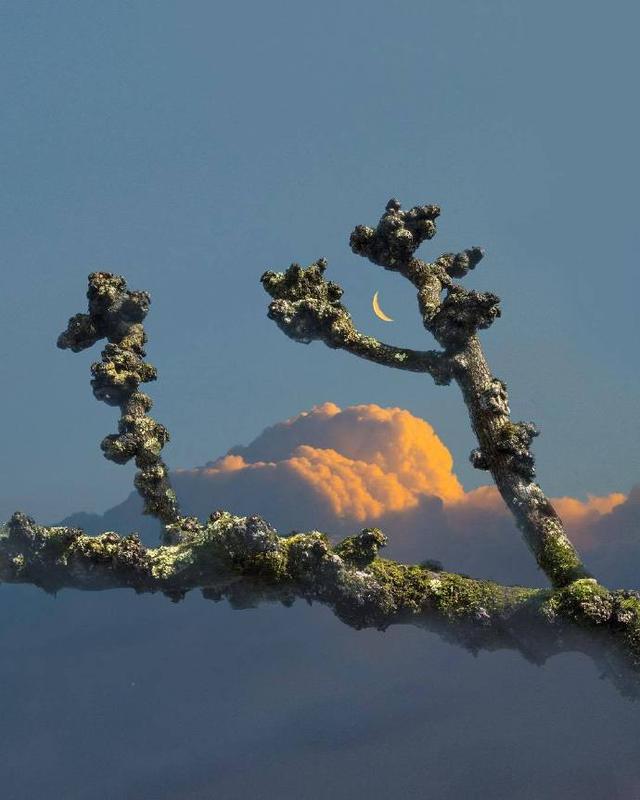 朋友圈暗含深意的24句话，精辟现实，句句穿心！