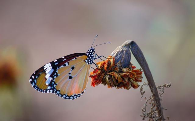 越读越优秀的人生格言，值得你一读再读！