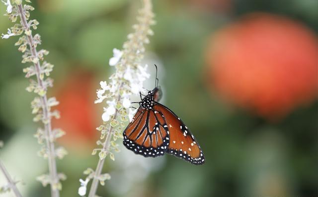 越读越优秀的人生格言，值得你一读再读！