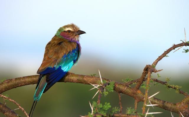 朋友圈很火的佛语禅心，读懂后什么都看开了！
