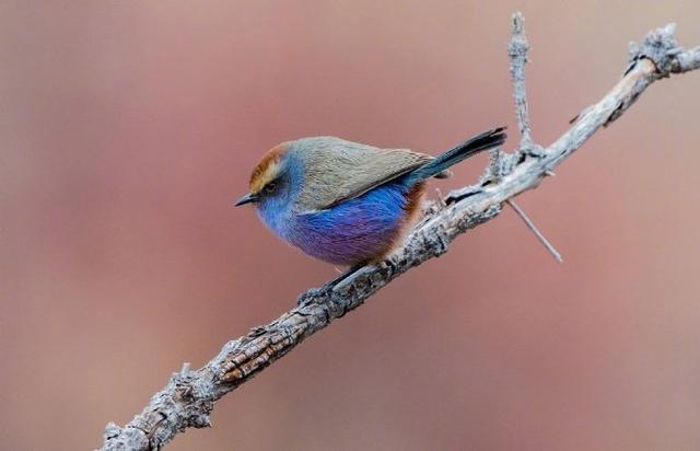 让人动力十足的人生金句，精湛深刻，发人深省！