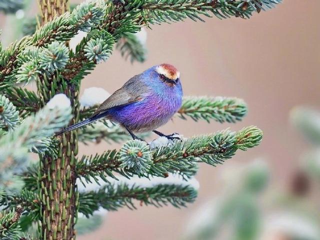 让人动力十足的人生金句，精湛深刻，发人深省！