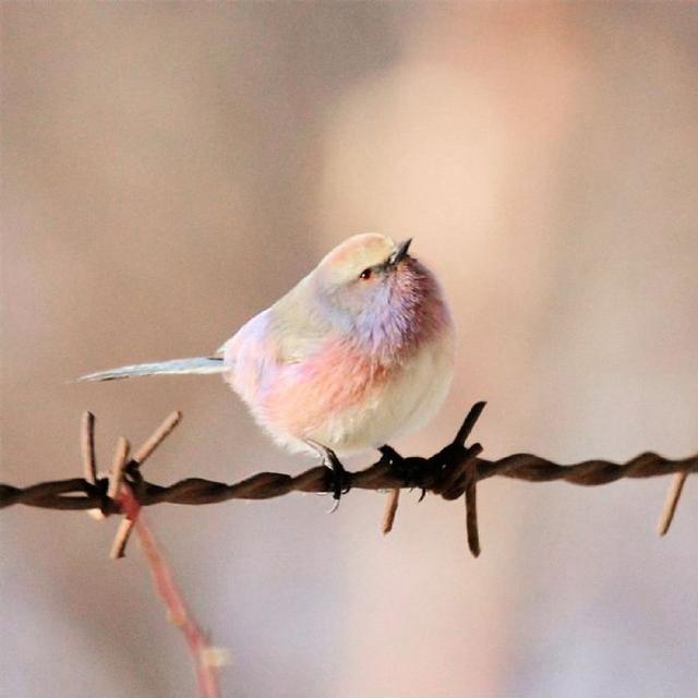 让人动力十足的人生金句，精湛深刻，发人深省！