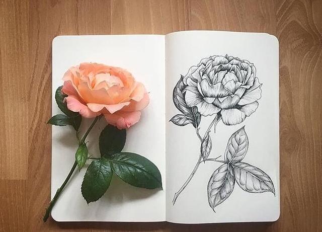 朋友圈精辟到位的24句话，看完让人醍醐灌顶！