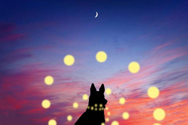 致自己最暖心的晚安说说，让人一看就喜欢！