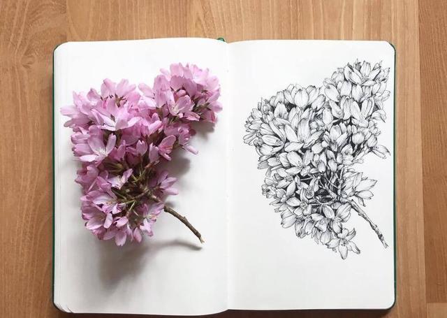 最能引起共鸣的24句话，短小精致，一秒倾心！