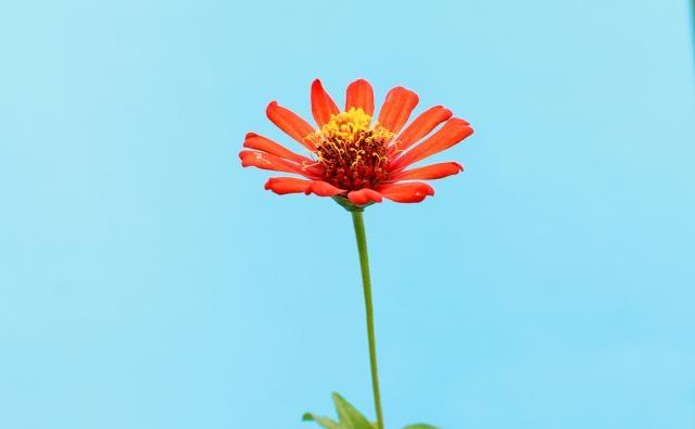 让人瞬间清醒的经典语录，言简意赅，句句获赞！