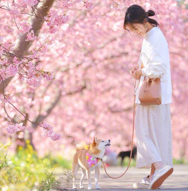 说到心窝里的人生金句，睿智深刻，总结得真到位！