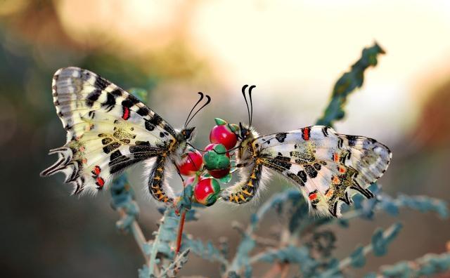 有深度有品位的人生格言，一语惊醒梦中人！