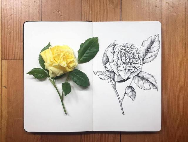 朋友圈很优质的人生感悟，现实露骨，刷新三观！