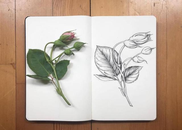 朋友圈很优质的人生感悟,现实露骨,刷新三观!