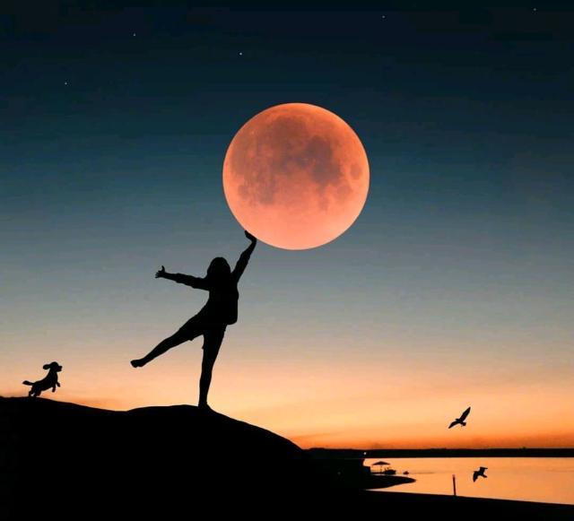 情商超高的晚安说说，暖心大气，人见人爱！