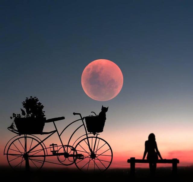 情商超高的晚安说说，暖心大气，人见人爱！