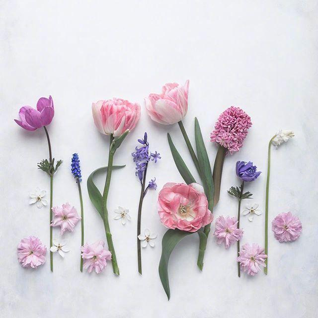 写给自己的优质人生语录，精辟入骨，人人收藏！