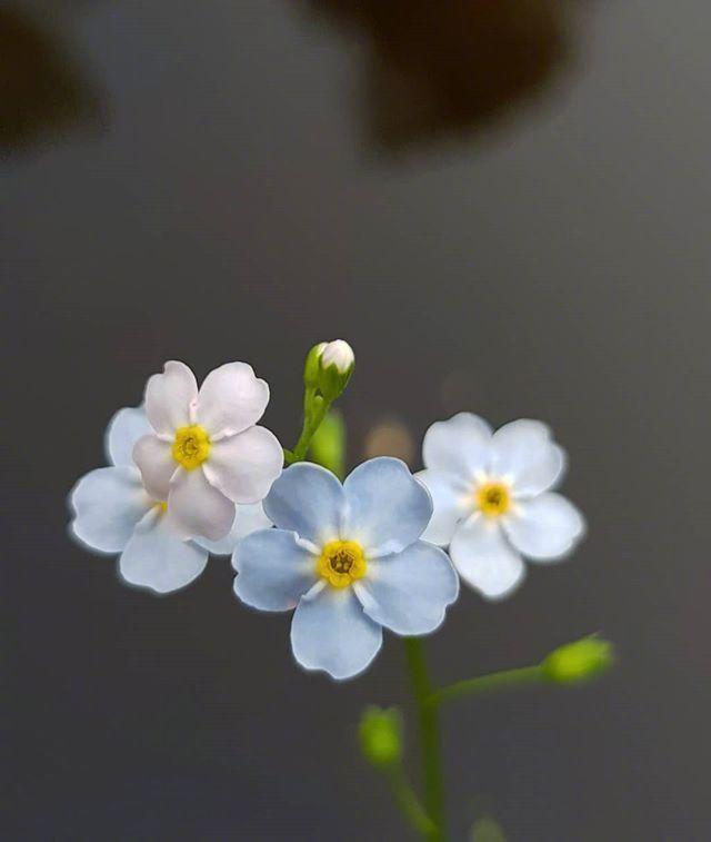 十一月顿悟人生的好句子，蕴含哲理，受用一生！