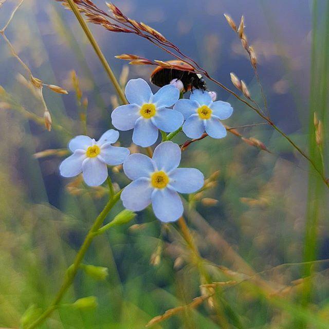 十一月顿悟人生的好句子，蕴含哲理，受用一生！