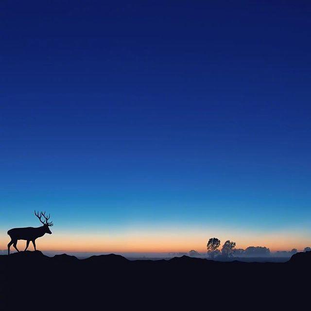 说到心坎上的晚安语录，总有一句适合你心情！