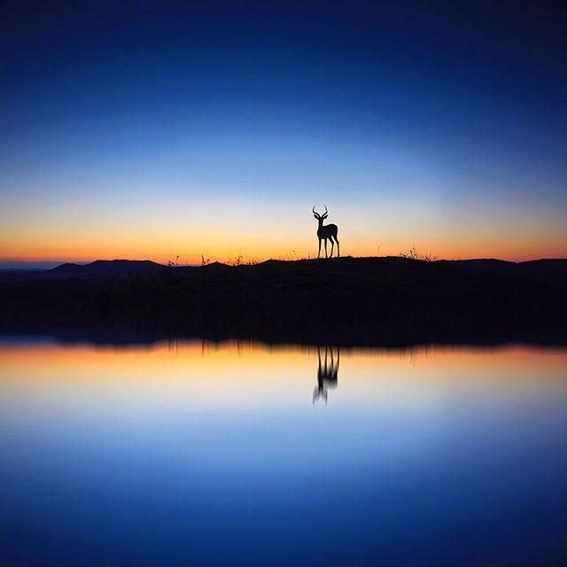 说到心坎上的晚安语录，总有一句适合你心情！