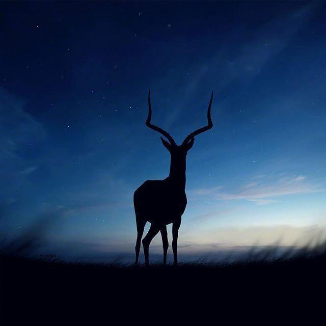 说到心坎上的晚安语录，总有一句适合你心情！