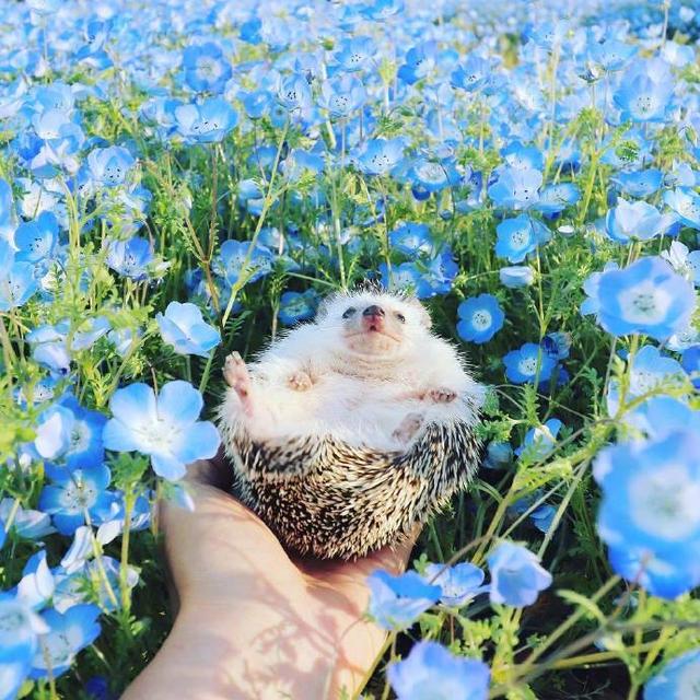 让人大彻大悟的27句话,朋友圈点赞上万!