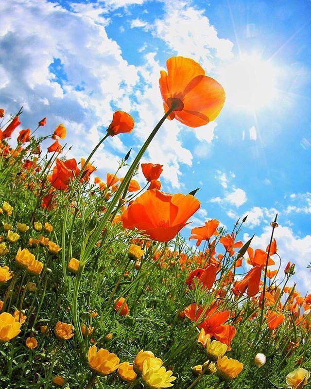 唤醒斗志的精致文案，催人奋进，永不言败！