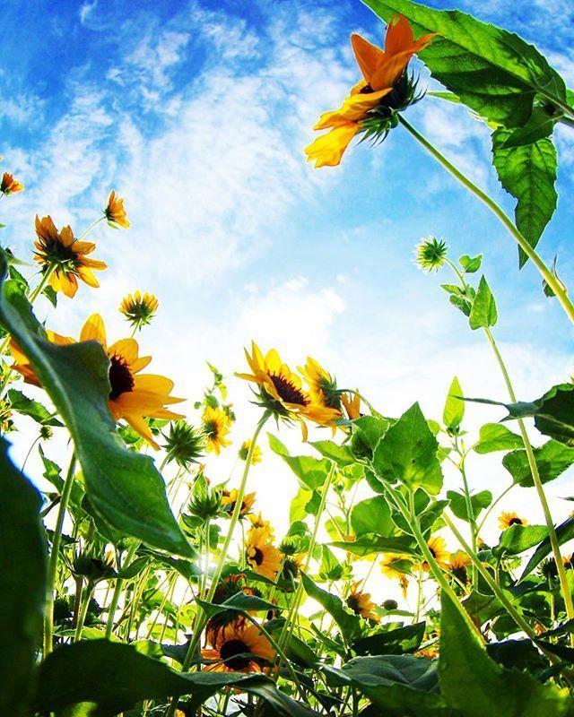 唤醒斗志的精致文案，催人奋进，永不言败！