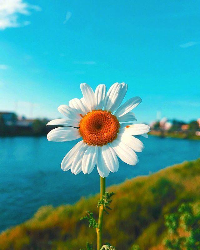 青春活力的早安语录，唤醒你心灵的力量！